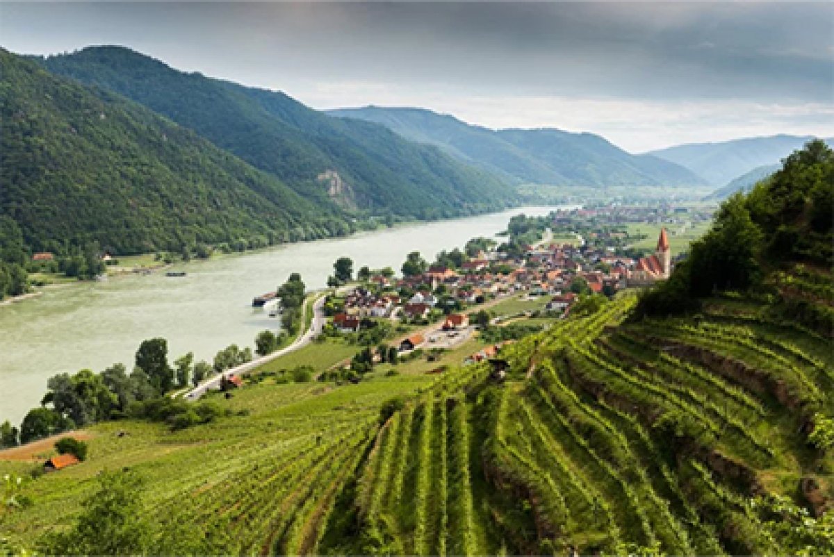 Immobilienverkauf in Niederösterreich Immobilienverkauf in Niederösterreich